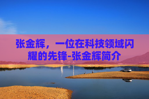 张金辉，一位在科技领域闪耀的先锋-张金辉简介