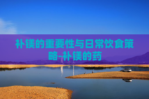 补镁的重要性与日常饮食策略-补镁的药