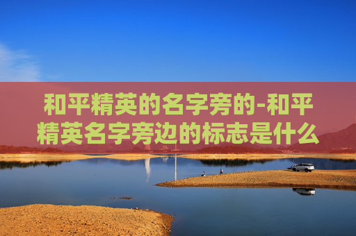 和平精英的名字旁的-和平精英名字旁边的标志是什么意思