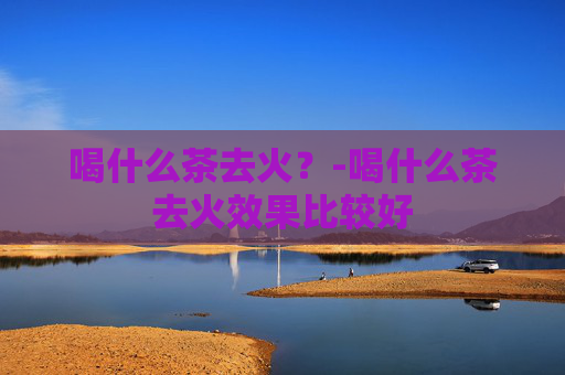 喝什么茶去火？-喝什么茶去火效果比较好