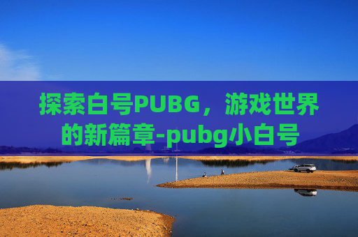 探索白号PUBG，游戏世界的新篇章-pubg小白号