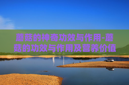 蘑菇的神奇功效与作用-蘑菇的功效与作用及营养价值