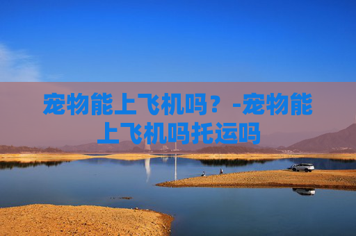 宠物能上飞机吗？-宠物能上飞机吗托运吗
