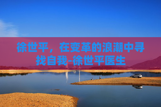 徐世平，在变革的浪潮中寻找自我-徐世平医生