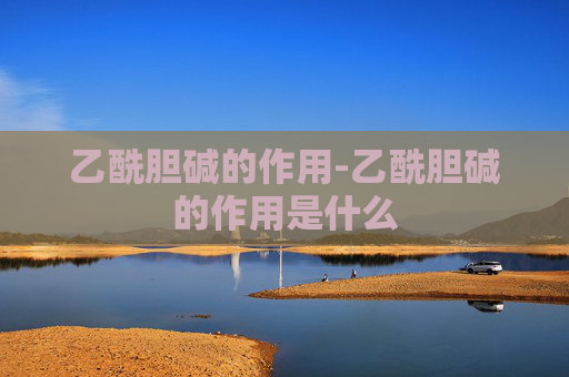 乙酰胆碱的作用-乙酰胆碱的作用是什么