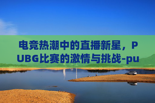 电竞热潮中的直播新星，PUBG比赛的激情与挑战-pubg直播官方比赛
