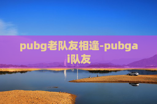 pubg老队友相逢-pubgai队友