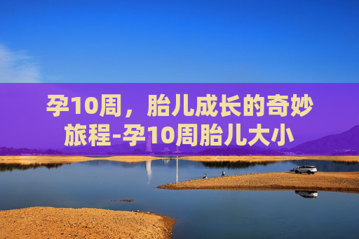 孕10周，胎儿成长的奇妙旅程-孕10周胎儿大小