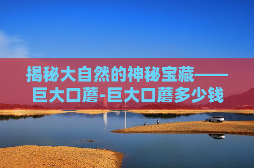 揭秘大自然的神秘宝藏——巨大口蘑-巨大口蘑多少钱一斤