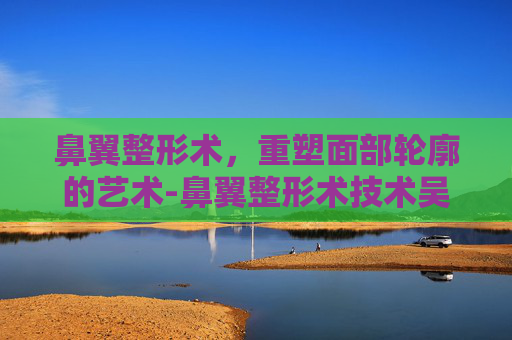 鼻翼整形术，重塑面部轮廓的艺术-鼻翼整形术技术吴玉家