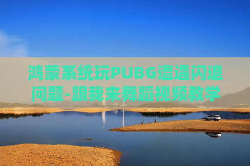 鸿蒙系统玩PUBG遭遇闪退问题-跟我来舞蹈视频教学
