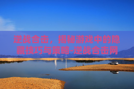 逆战合击，揭秘游戏中的隐藏技巧与策略-逆战合击网址是什么