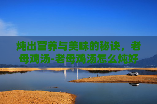 炖出营养与美味的秘诀，老母鸡汤-老母鸡汤怎么炖好喝又营养放什么调料