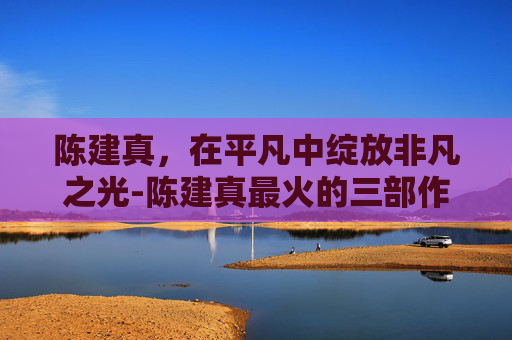 陈建真，在平凡中绽放非凡之光-陈建真最火的三部作品