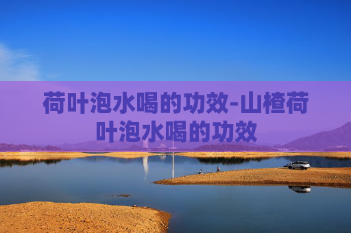 荷叶泡水喝的功效-山楂荷叶泡水喝的功效