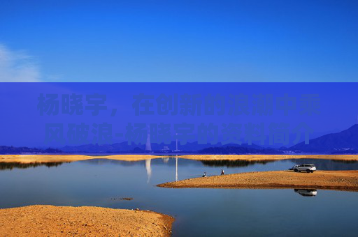 杨晓宇，在创新的浪潮中乘风破浪-杨晓宇的资料简介