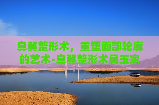 鼻翼整形术，重塑面部轮廓的艺术-鼻翼整形术吴玉家医生