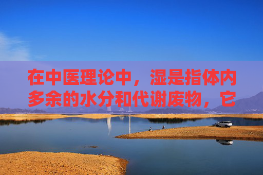 在中医理论中，湿是指体内多余的水分和代谢废物，它可能导致身体出现各种不适症状。因此，祛湿是保持身体健康的重要一环。下面我将介绍几种有效的祛湿方法，帮助您改善体质，远离湿气带来的困扰。-怎样祛湿除体内湿气