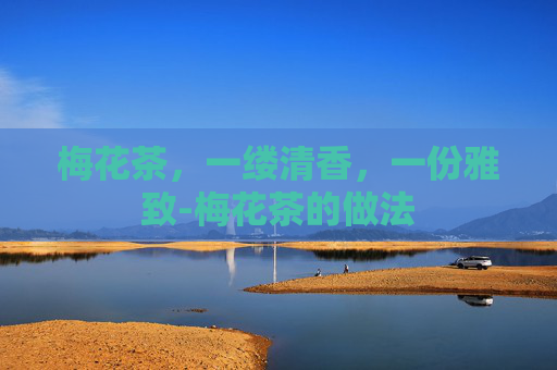 梅花茶，一缕清香，一份雅致-梅花茶的做法