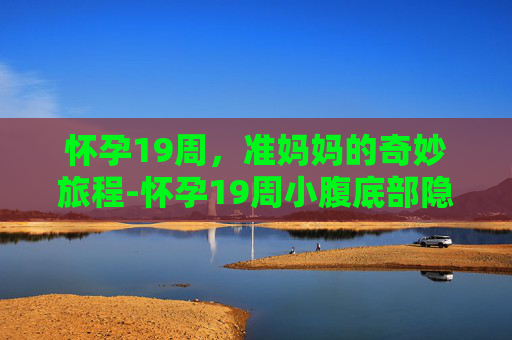 怀孕19周，准妈妈的奇妙旅程-怀孕19周小腹底部隐痛