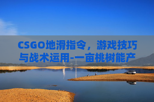 CSGO地滑指令，游戏技巧与战术运用-一亩桃树能产多少桃胶