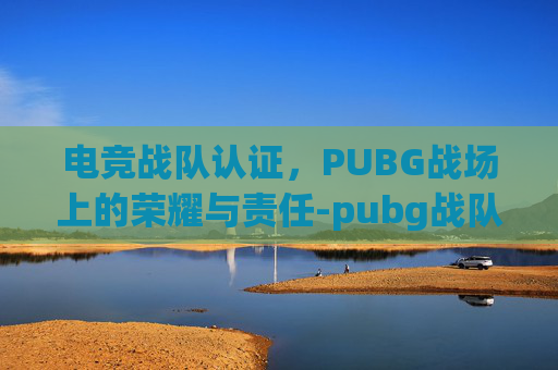 电竞战队认证，PUBG战场上的荣耀与责任-pubg战队认证官网