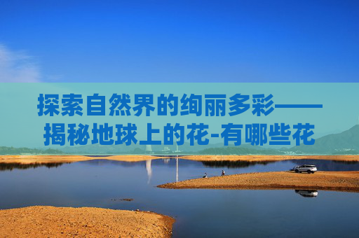 探索自然界的绚丽多彩——揭秘地球上的花-有哪些花的名称