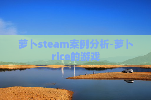 萝卜steam案例分析-萝卜rice的游戏