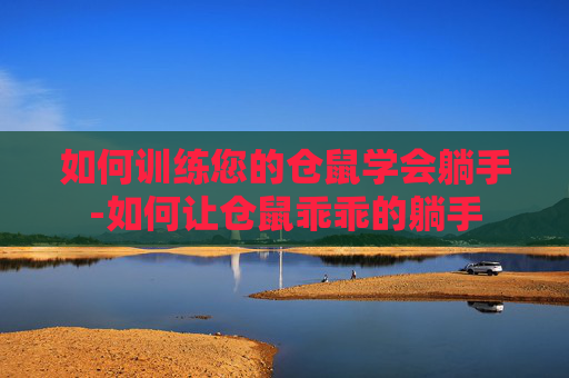 如何训练您的仓鼠学会躺手-如何让仓鼠乖乖的躺手