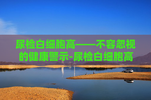 尿检白细胞高——不容忽视的健康警示-尿检白细胞高怎么调理