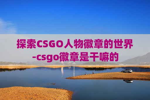 探索CSGO人物徽章的世界-csgo徽章是干嘛的