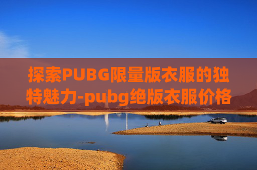 探索PUBG限量版衣服的独特魅力-pubg绝版衣服价格