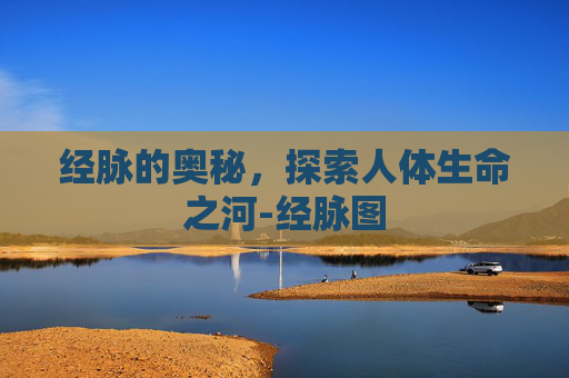 经脉的奥秘，探索人体生命之河-经脉图