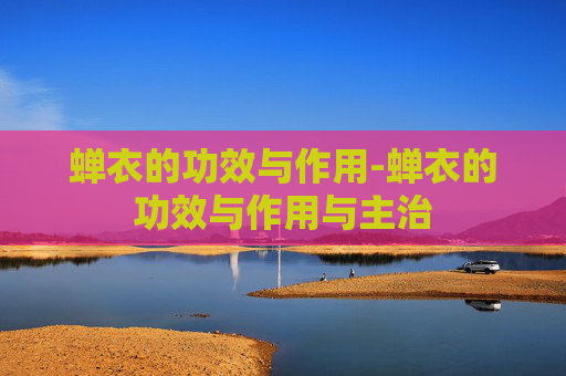 蝉衣的功效与作用-蝉衣的功效与作用与主治