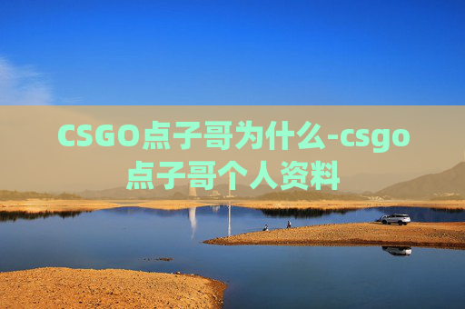 CSGO点子哥为什么-csgo点子哥个人资料