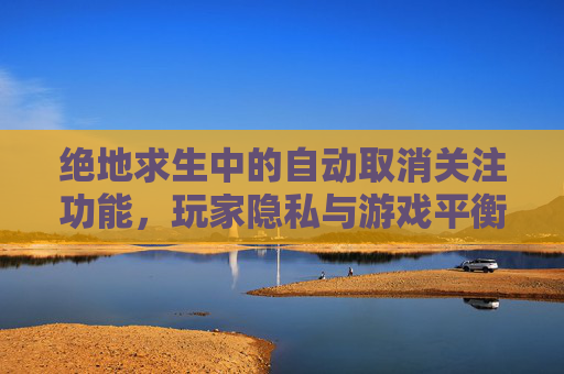绝地求生中的自动取消关注功能，玩家隐私与游戏平衡的微妙平衡-PUBG取消就进游戏