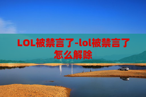 LOL被禁言了-lol被禁言了怎么解除