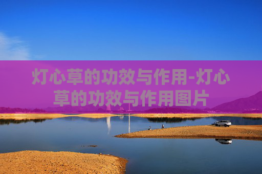 灯心草的功效与作用-灯心草的功效与作用图片