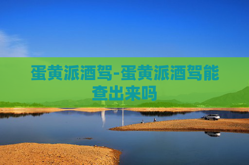 蛋黄派酒驾-蛋黄派酒驾能查出来吗