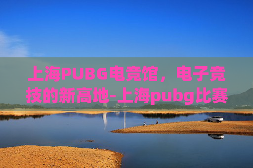 上海PUBG电竞馆，电子竞技的新高地-上海pubg比赛场馆在哪