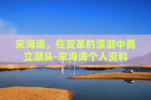 宋海涛,在变革的浪潮中勇立潮头-宋海涛个人资料 宋海涛,在变革的浪潮中勇立潮头-宋海涛个人资料