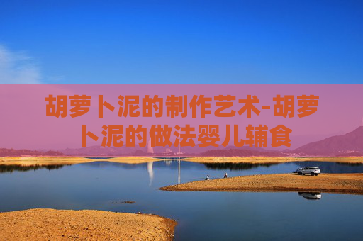 胡萝卜泥的制作艺术-胡萝卜泥的做法婴儿辅食