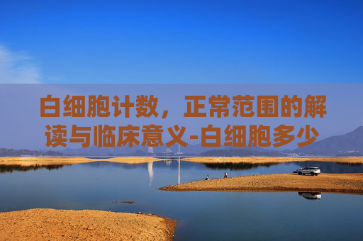 白细胞计数，正常范围的解读与临床意义-白细胞多少为正常?