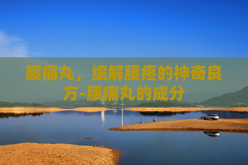 腰痛丸，缓解腰疼的神奇良方-腰痛丸的成分