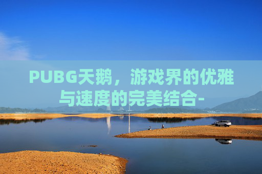 PUBG天鹅，游戏界的优雅与速度的完美结合-