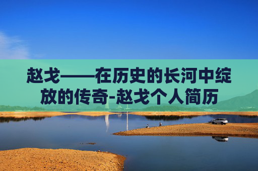赵戈——在历史的长河中绽放的传奇-赵戈个人简历
