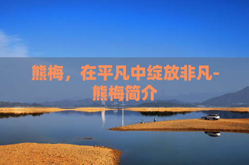 熊梅，在平凡中绽放非凡-熊梅简介