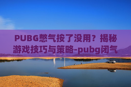 PUBG憋气按了没用？揭秘游戏技巧与策略-pubg闭气