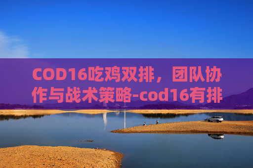 COD16吃鸡双排，团队协作与战术策略-cod16有排位吗