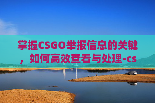 掌握CSGO举报信息的关键，如何高效查看与处理-csgo举报信息怎么看不到